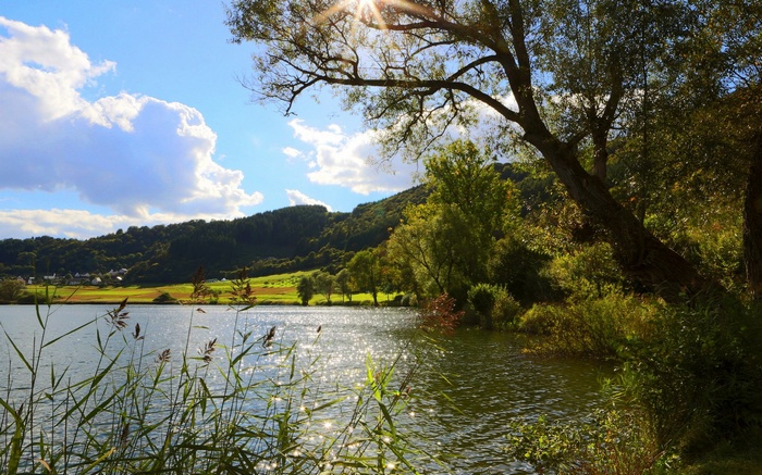 Sunlit lake with trees and rolling hills
