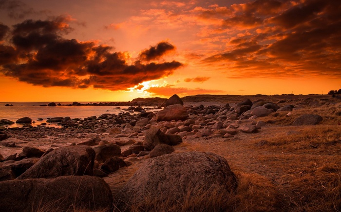 Rocky beach at sunset with orange sky