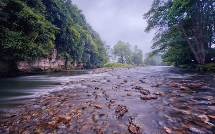 River flowing through a rocky forest landscape