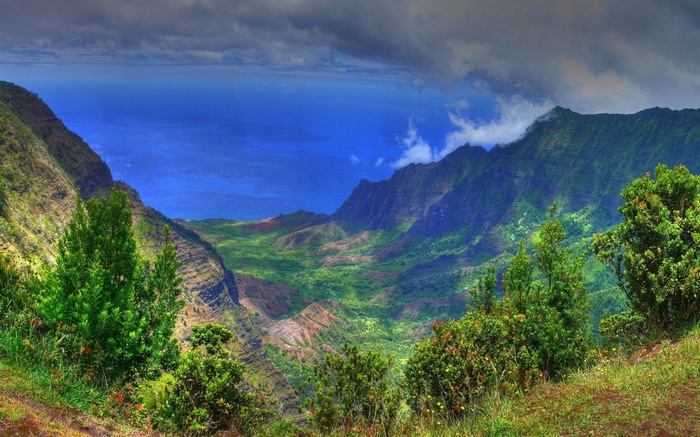 Valley and ocean view from a mountain