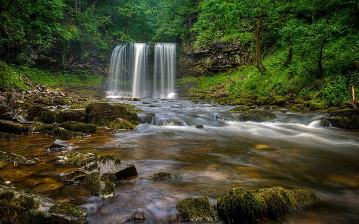 Waterfall in a lush green forest with mossy rocks