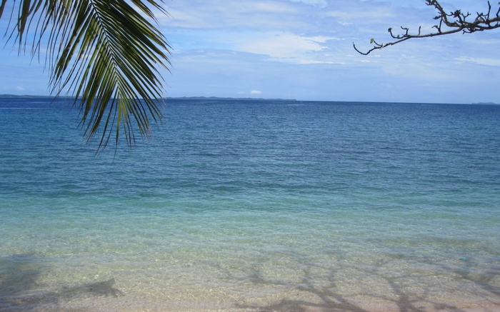 Tropical beach with clear water and palm fronds