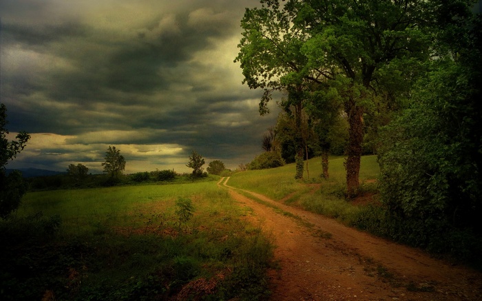Dirt road through a grassy field under stormy clouds