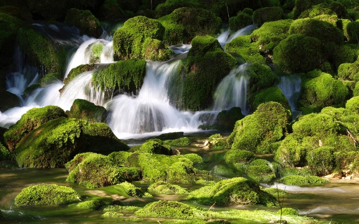 Mossy rocks with a waterfall in a forest