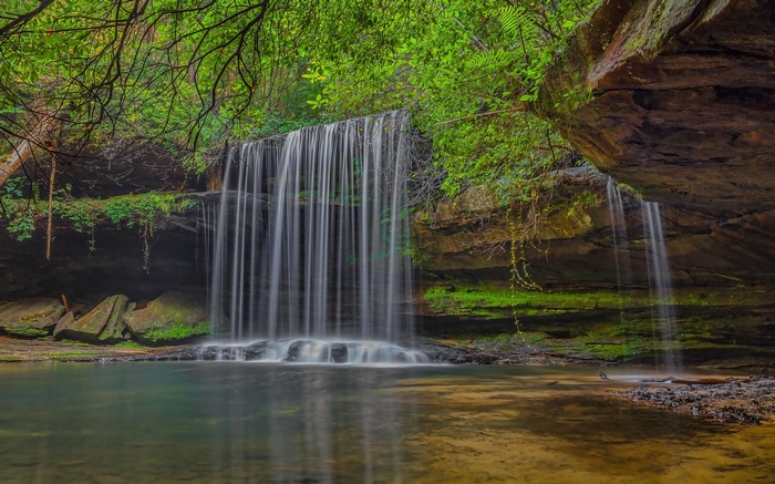 Waterfall cascading into a clear pool in a lush forest
