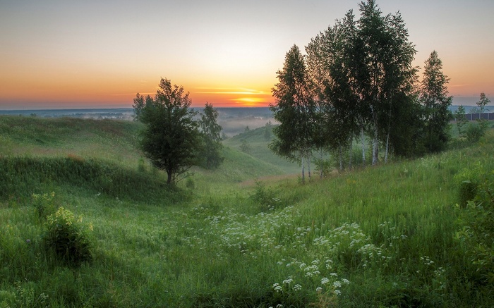 Sunrise over rolling green hills with trees