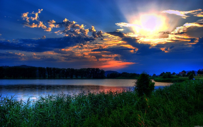 Sunset over a lake with reeds and trees