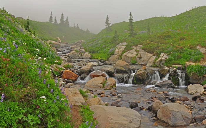 Misty mountain stream with wildflowers and rocks