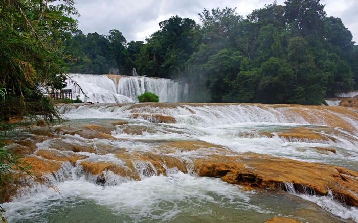 Cascading waterfalls flowing over ochre rocks in a lush forest