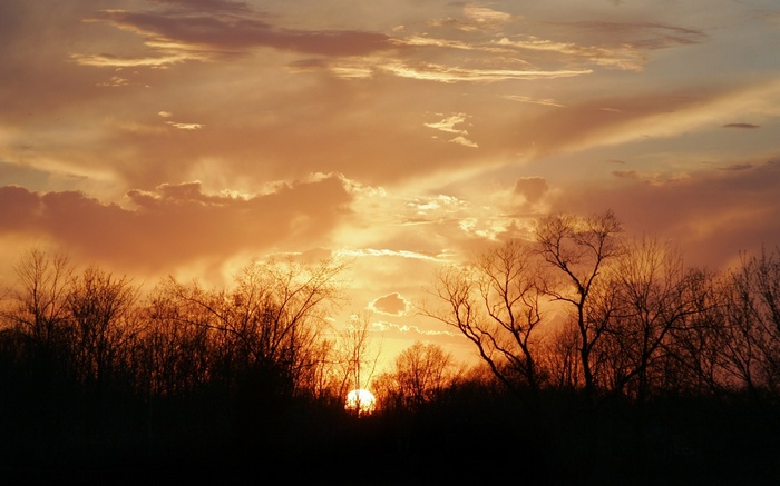Sunset over silhouetted trees and clouds