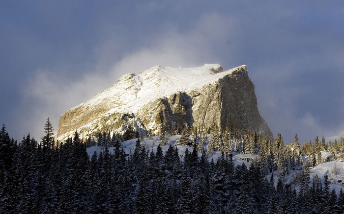Snow-covered mountain peak above a forest