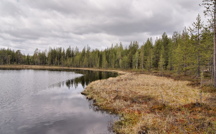 Lake and forest under cloudy sky