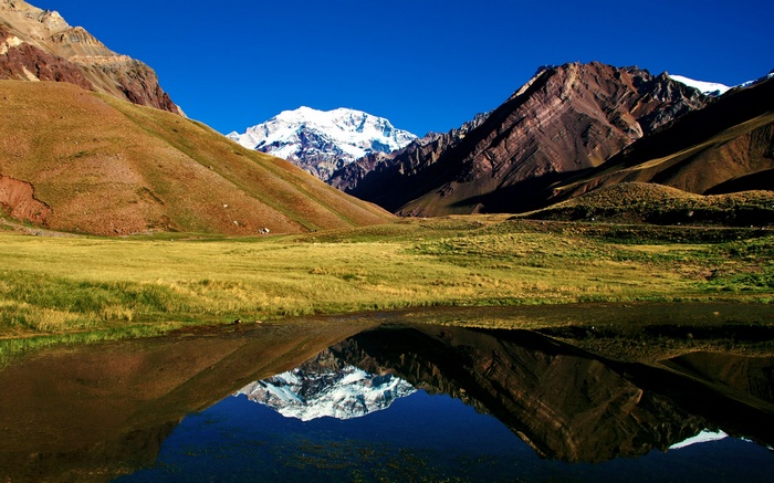 Snow-capped mountain reflected in a lake