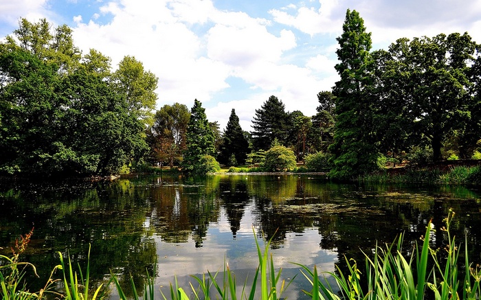 A tranquil lake surrounded by lush green trees under a cloudy sky