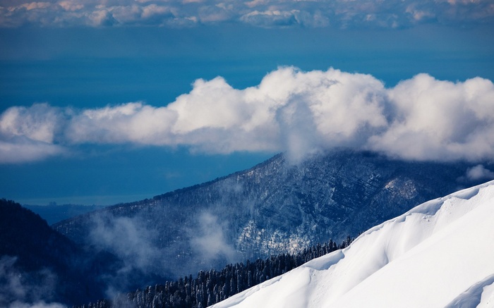 Snowy mountains with clouds and trees