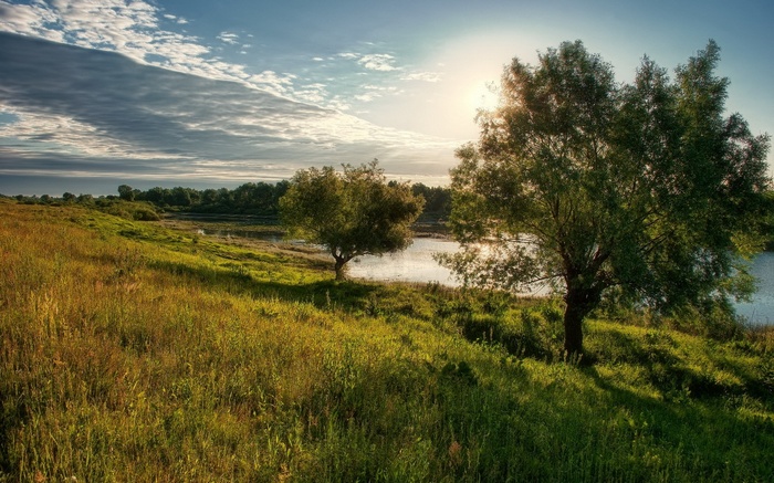 Grassy hill overlooking a lake with trees and sun