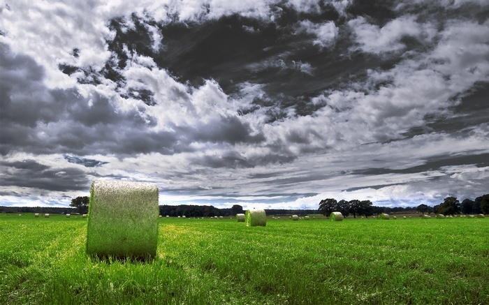Hay bales in a green field under a cloudy sky