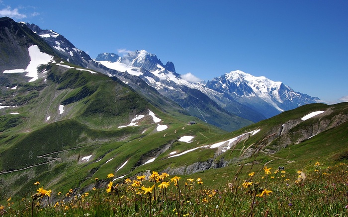 Mountain landscape with snow-capped peaks and wildflowers