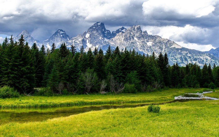 Snow-capped mountains behind a forest and meadow