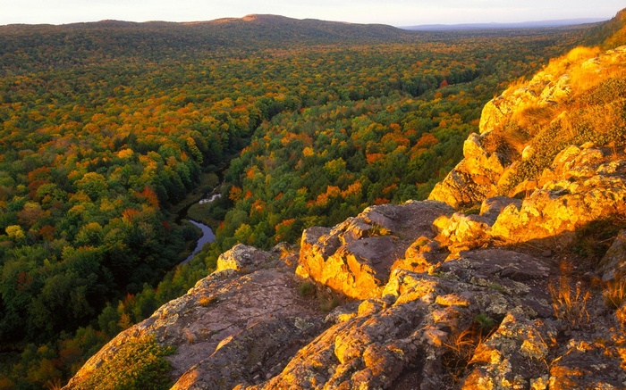 Autumn forest valley with river and rocky cliff