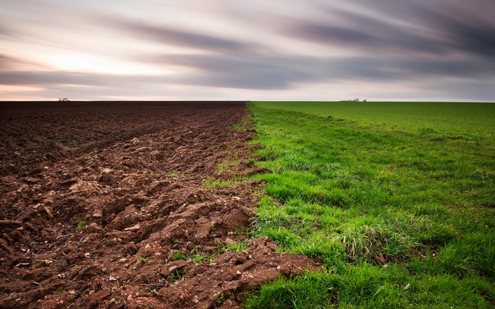 Ploughed field next to a green field under cloudy sky