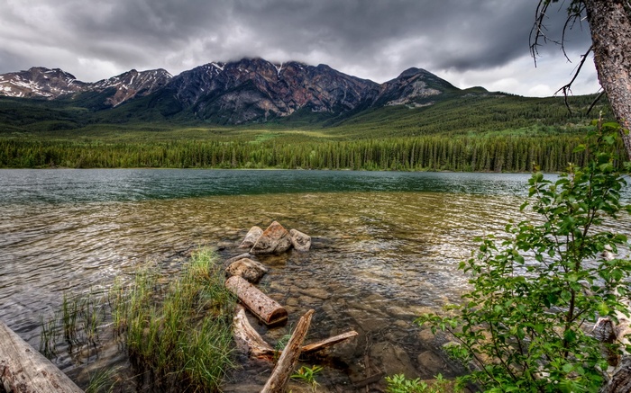 Lake with Mountains and Forest