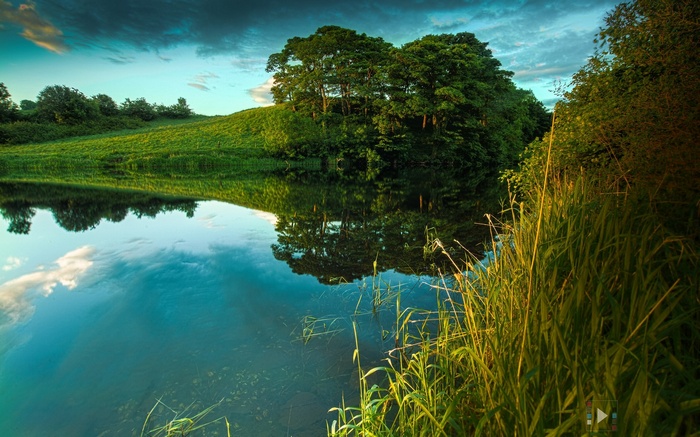 Green hill and trees reflected in a calm lake