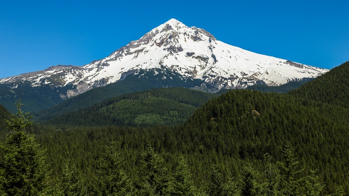 Snow-capped mountain above a dense forest