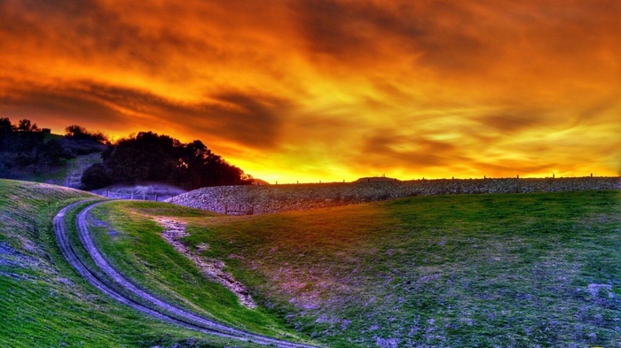 Dirt road through grassy hills at sunset