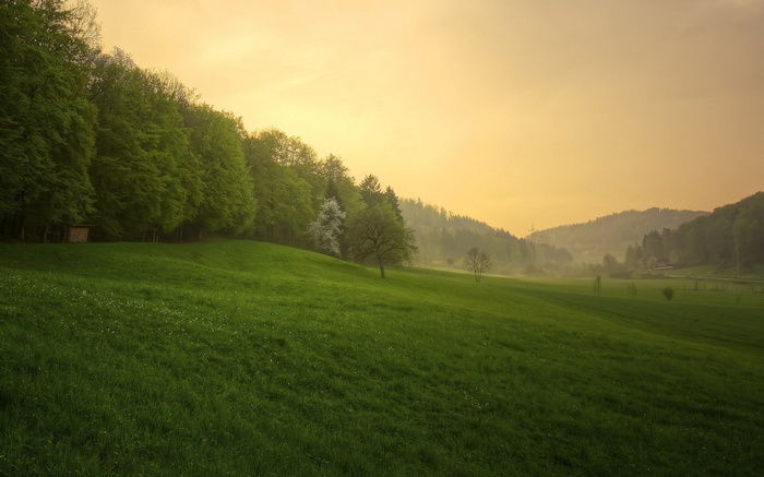 Green rolling hills with trees and a hazy sky