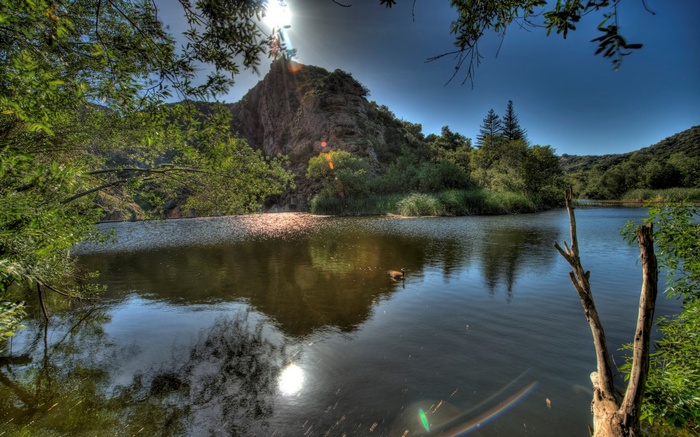 Lake and Rocky Hillside with Trees