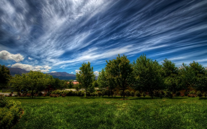 Grassy field with trees and mountains under a cloudy sky