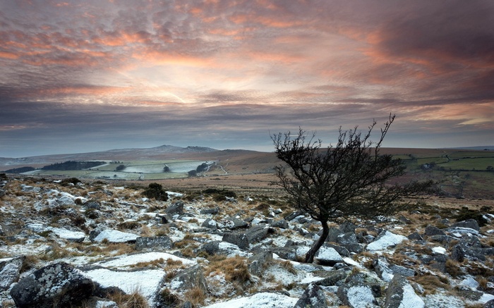 Winter landscape with a lone tree and mountains