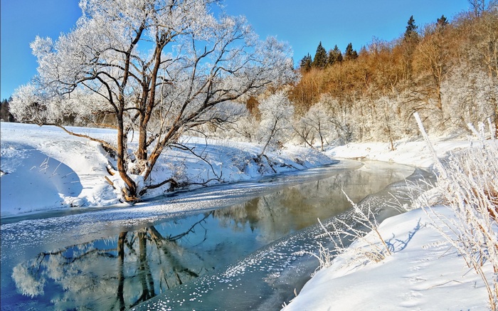 Winter river scene with frosted trees and blue sky