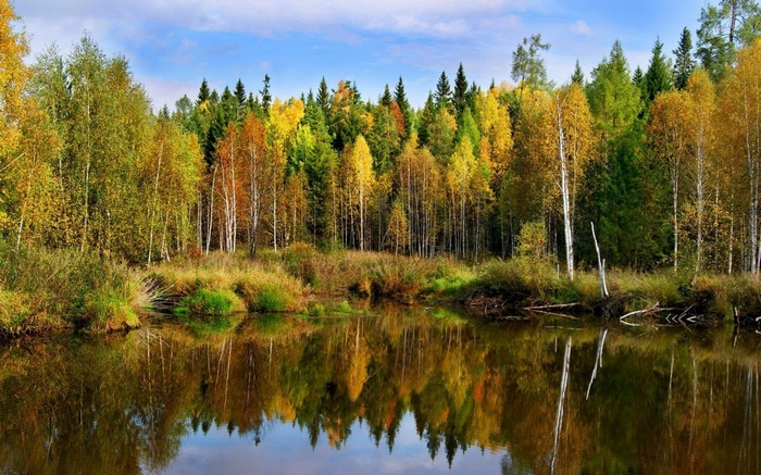 Autumn forest reflected in a calm lake