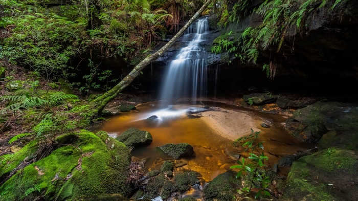 Waterfall cascading into a pool in a mossy forest