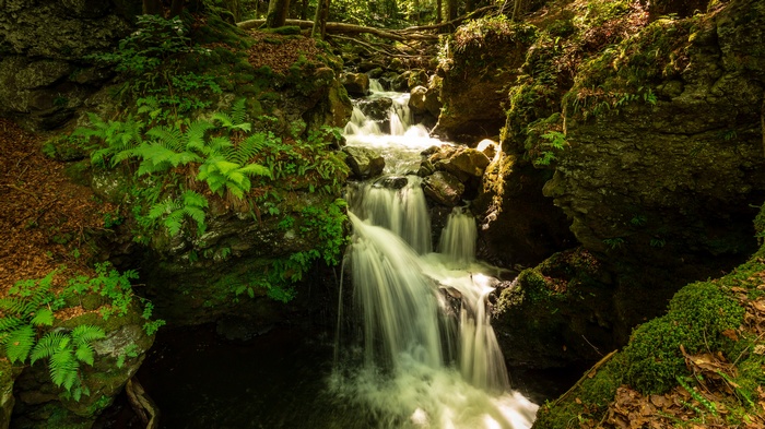 Waterfall cascading over mossy rocks in a forest