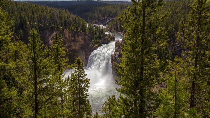 Waterfall in a forest with a bridge in the distance