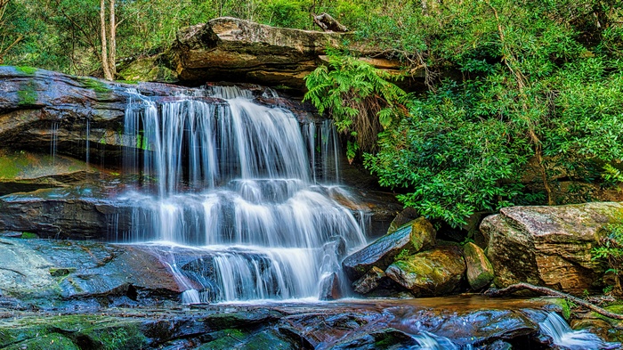 Waterfall cascading over mossy rocks in a forest