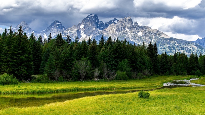 Grand Teton National Park with stream and forest