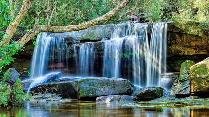 Waterfall cascading over rocks in a forest