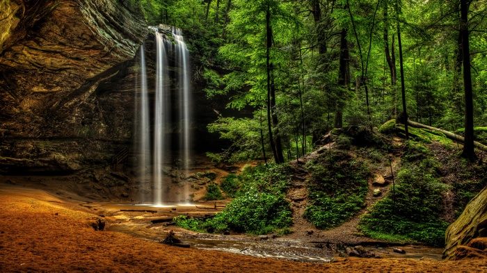 Waterfall in a lush green forest cave