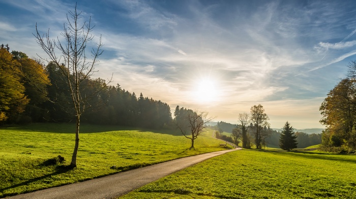 A winding path through a sunlit meadow in autumn