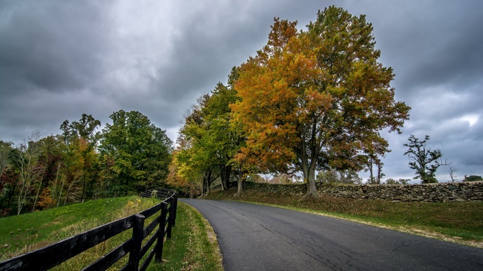 Autumn road with trees and stone wall