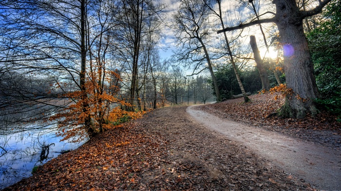 Autumn path by a lake with bare trees