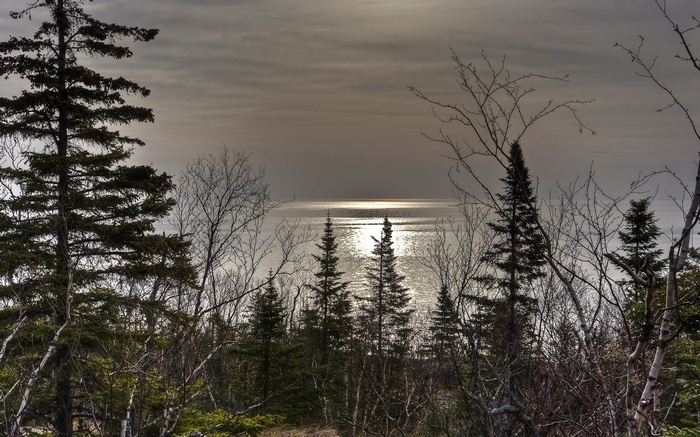 Trees and a sunlit ocean under a cloudy sky