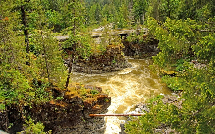 River flowing through a rocky gorge with a bridge overhead