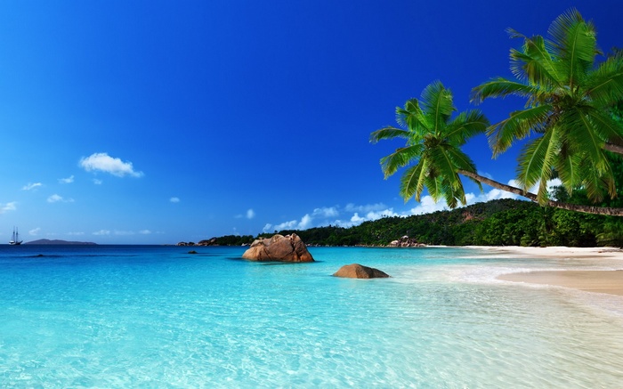 Tropical beach with palm trees and turquoise water