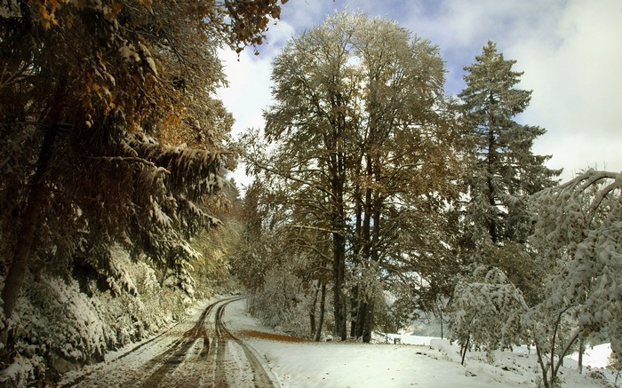 Snow-covered road winding through a forest