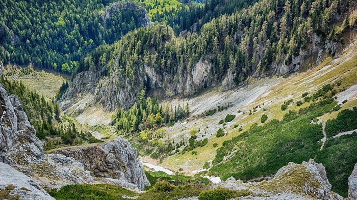 Mountain valley with pine forest and rocky slopes